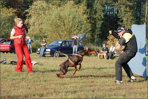 Training in Estonia 9/2007